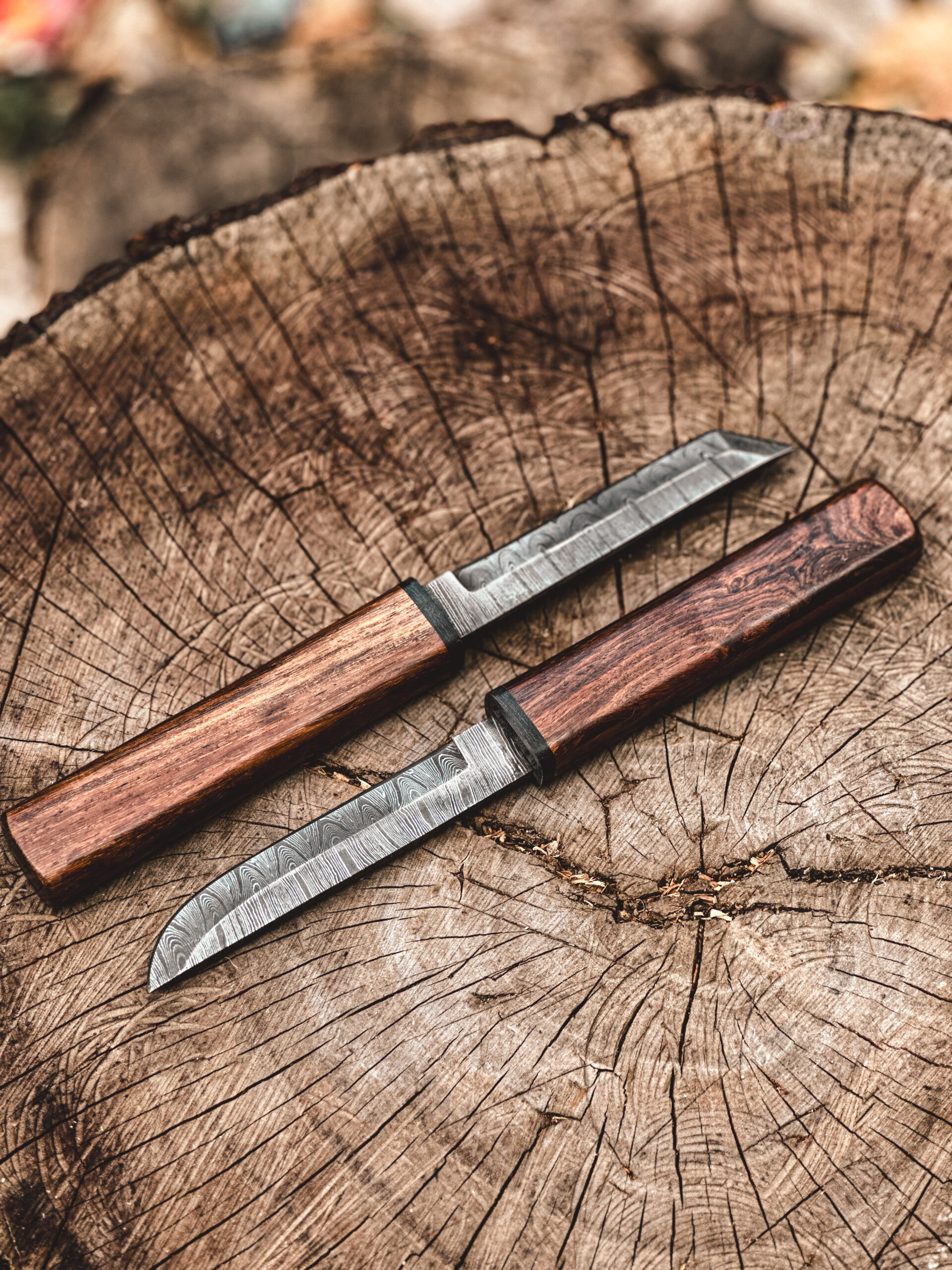 Double Knives Set — Twin Blade Tactical Collection