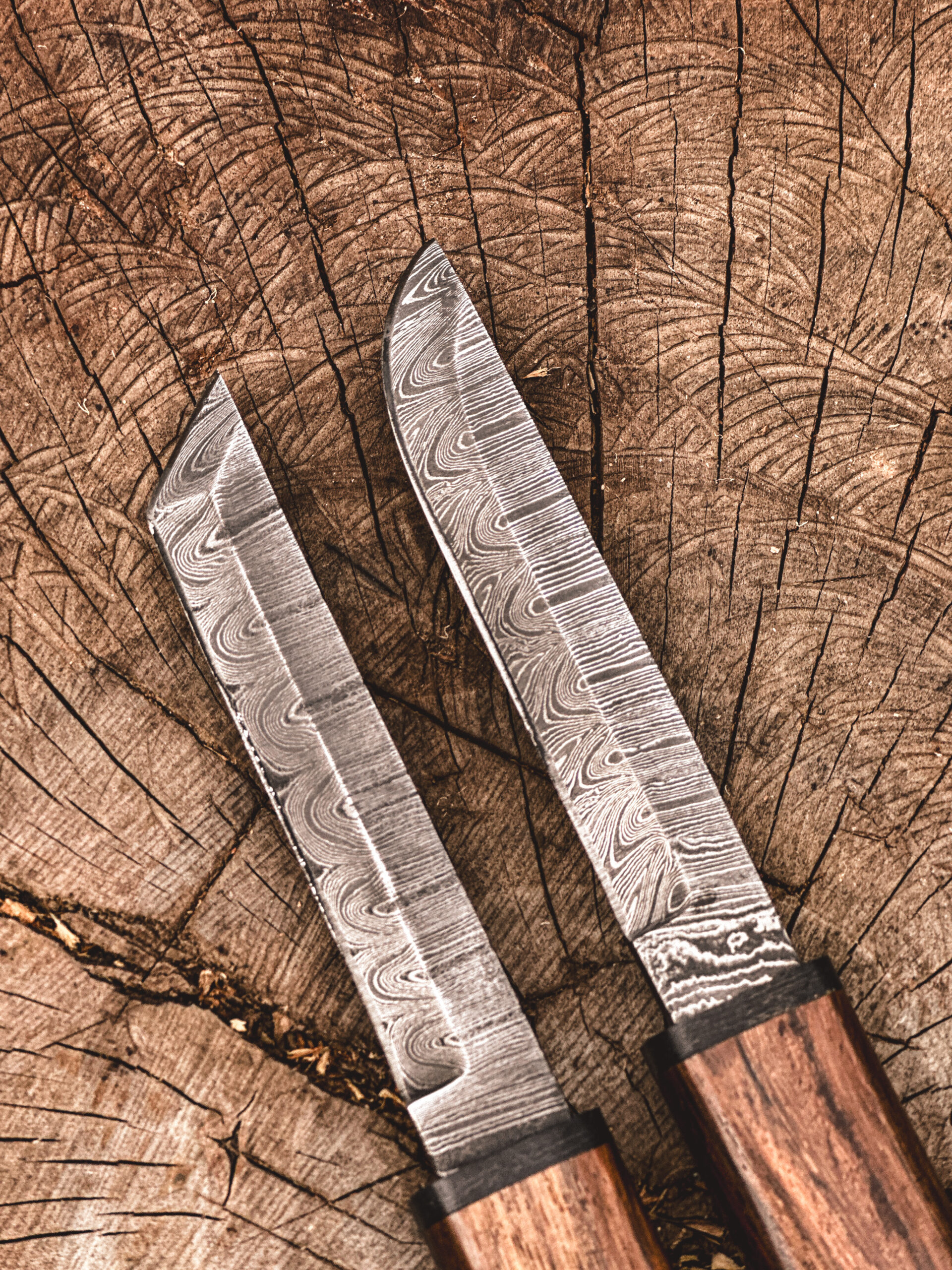 Double Knives Set — Twin Blade Tactical Collection - Image 2